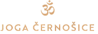 Centroprojekt logo